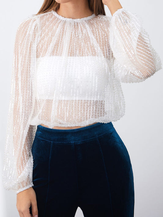 Mesh Puff Sleeve Crewneck Top with Sheer Details